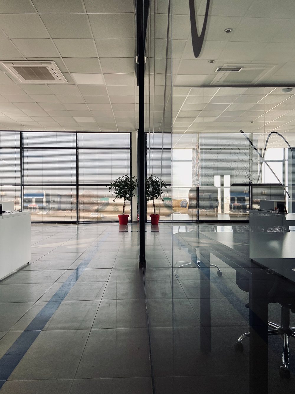 Modern commercial office with glass partitions, greenery and a neutral palette